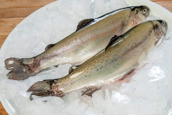 2 Truites arc en ciel vidées sous vide minimum 225 gr